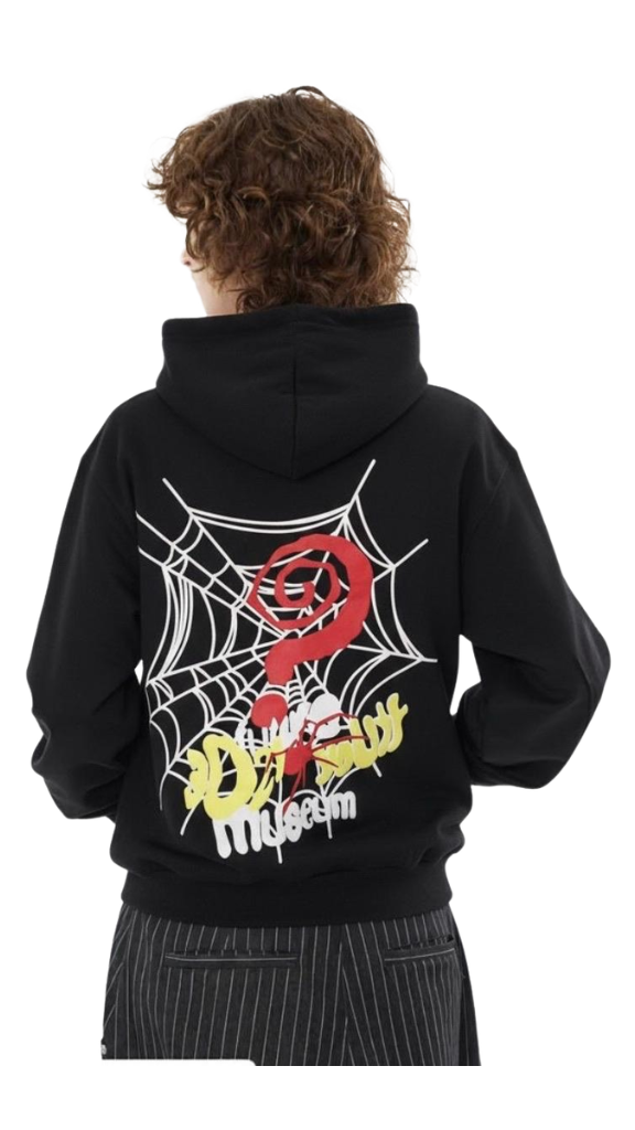 Spiderweb Graphic Oversized Crop Hoodie